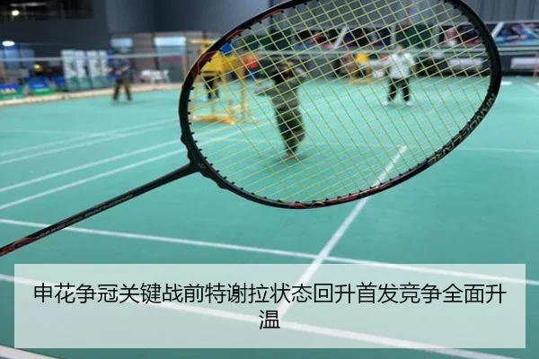 申花争冠关键战前特谢拉状态回升首发竞争全面升温